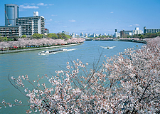 毛馬桜之宮公園