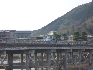 渡月橋を渡る“相棒”。渡月橋を境に上流を大堰川、下流を桂川といいます。