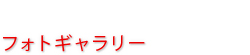 フォトギャラリー