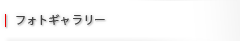 フォトギャラリー