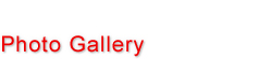 Photo Gallery