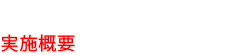 実施概要