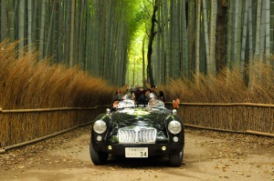 MG MGA running through bamboo grove in Arashiyama, Kyoto