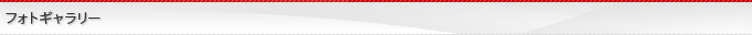 フォトギャラリー