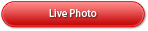 Live Photo